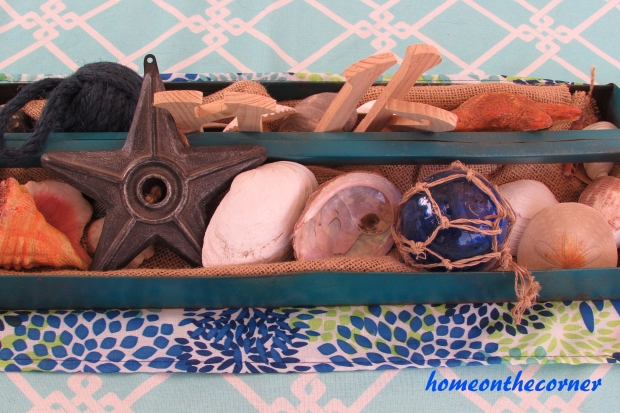 Seashells in an old tool box tray.