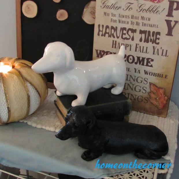 apray painted dauchshund