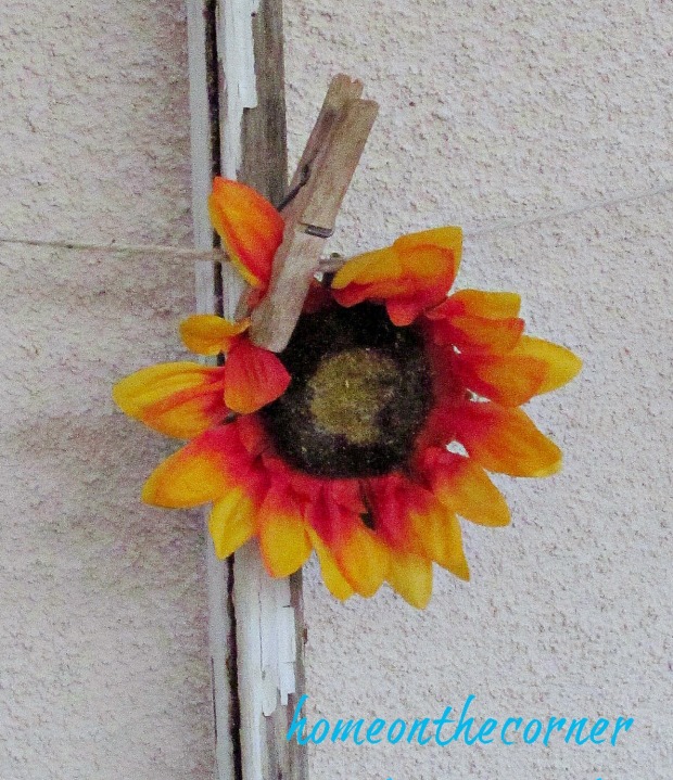 Transitional Back Patio Sunflower 2015
