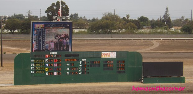 horse race scoreboard