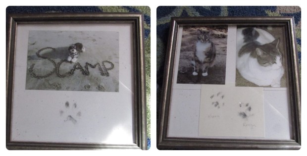 Scamp, Kiara and Kenya