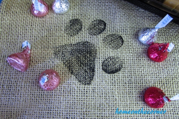 animal shelter pawprints and kisses