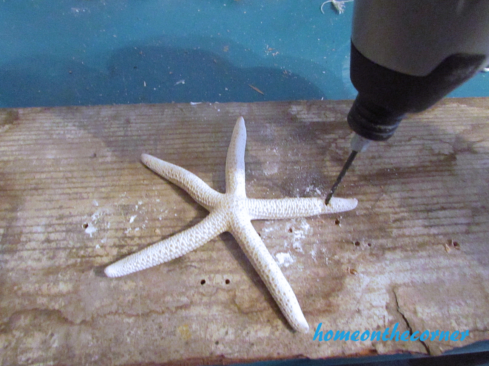 boho seashell mobile drill starfish