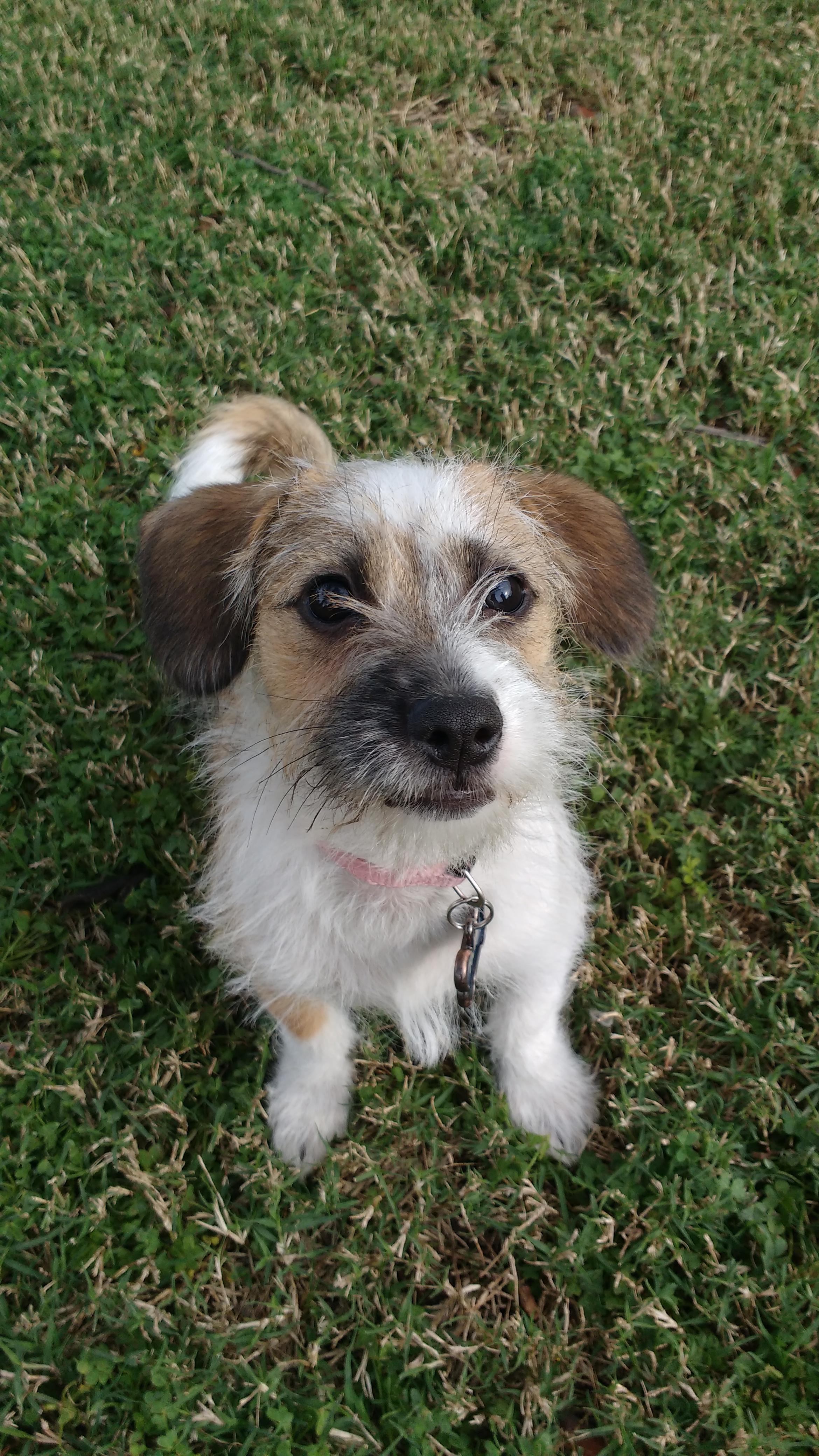 IMG_20160312_153956723 (1)