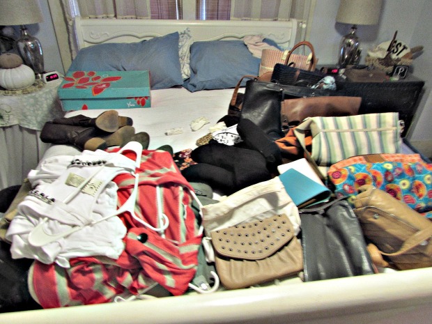 Closet and purse organizer