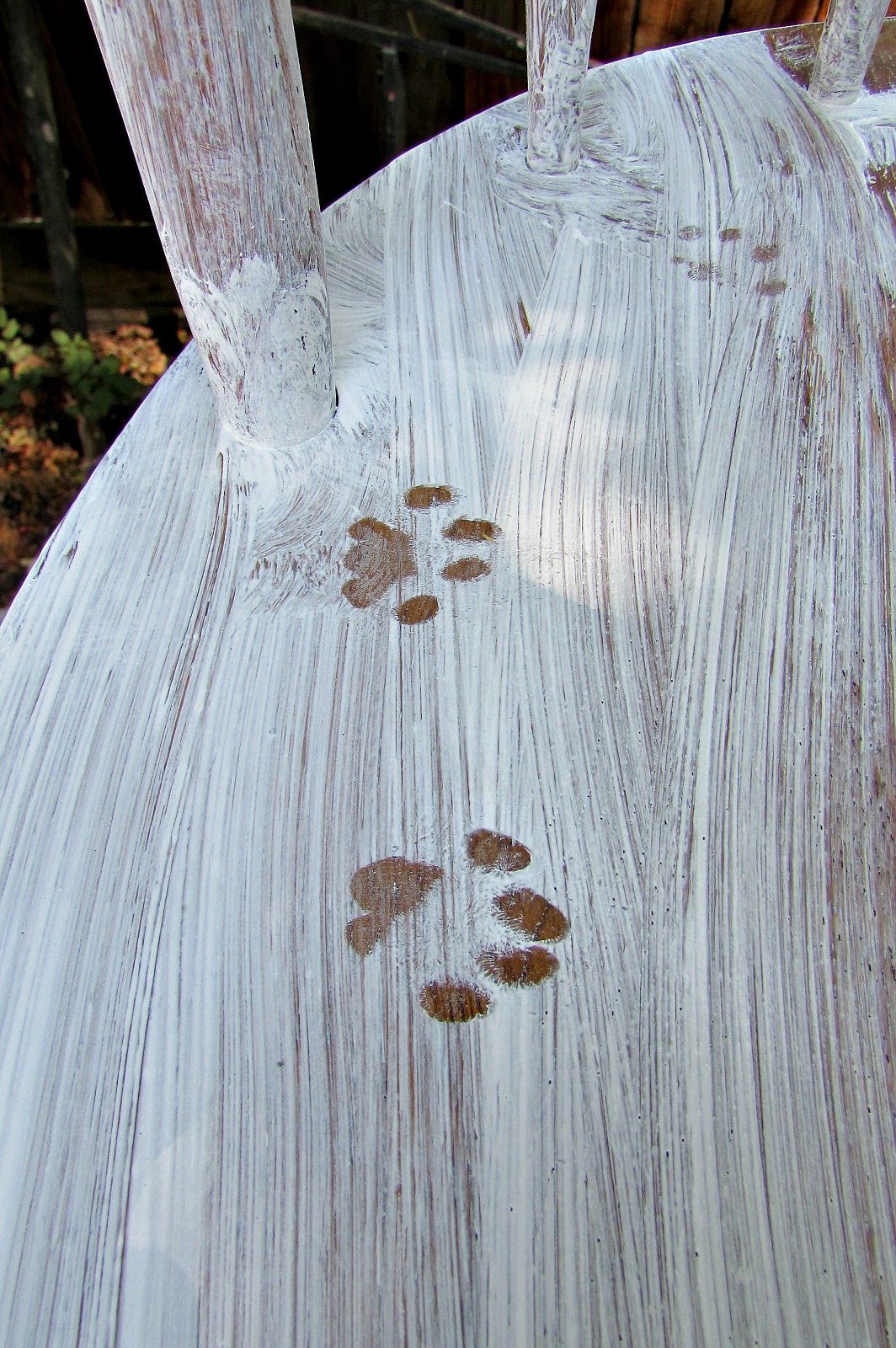 kitchen chair makeover kitty pawprints