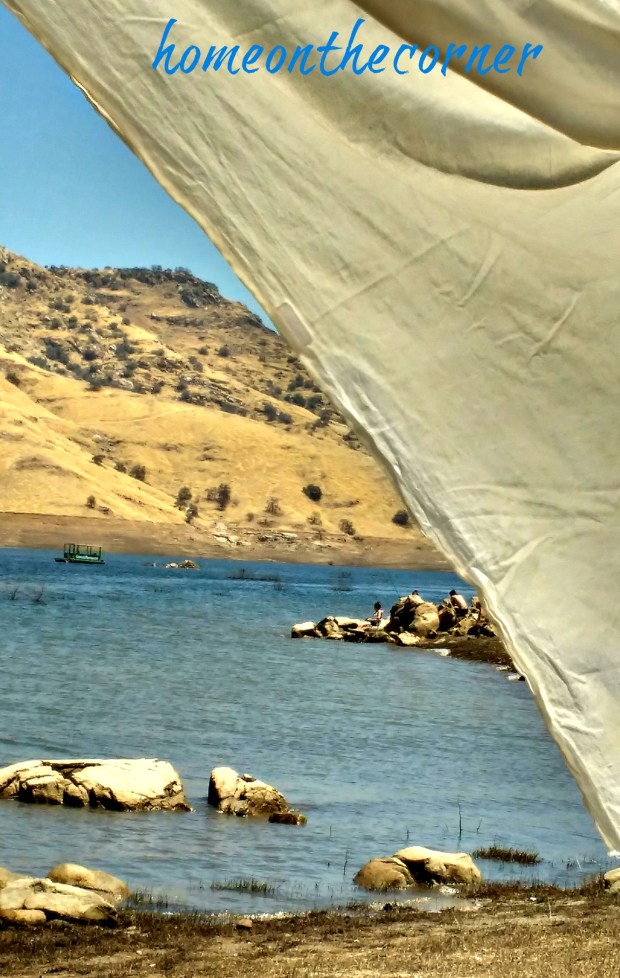 day at the lake shoreline