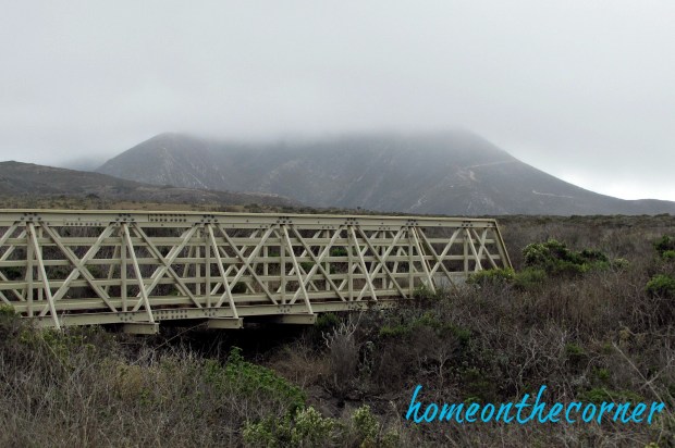 coastal-bridge-pictures