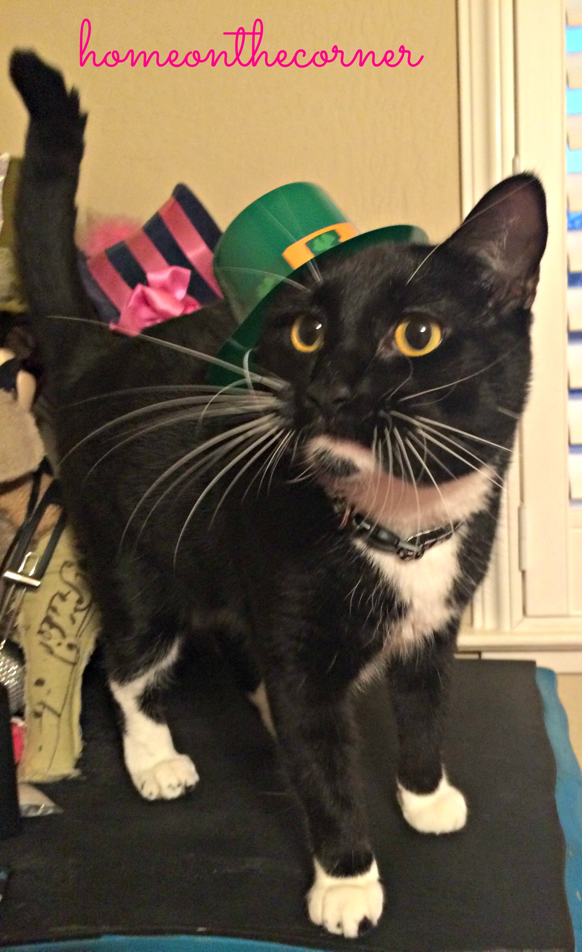 target-cute-with-hat