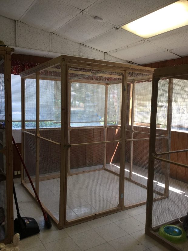 21122576_1540778959335114_4352180653217105877_o