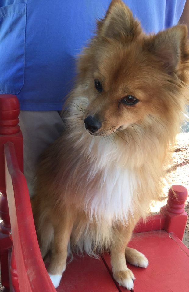 21741229_1559780657434944_2375696184908161058_o