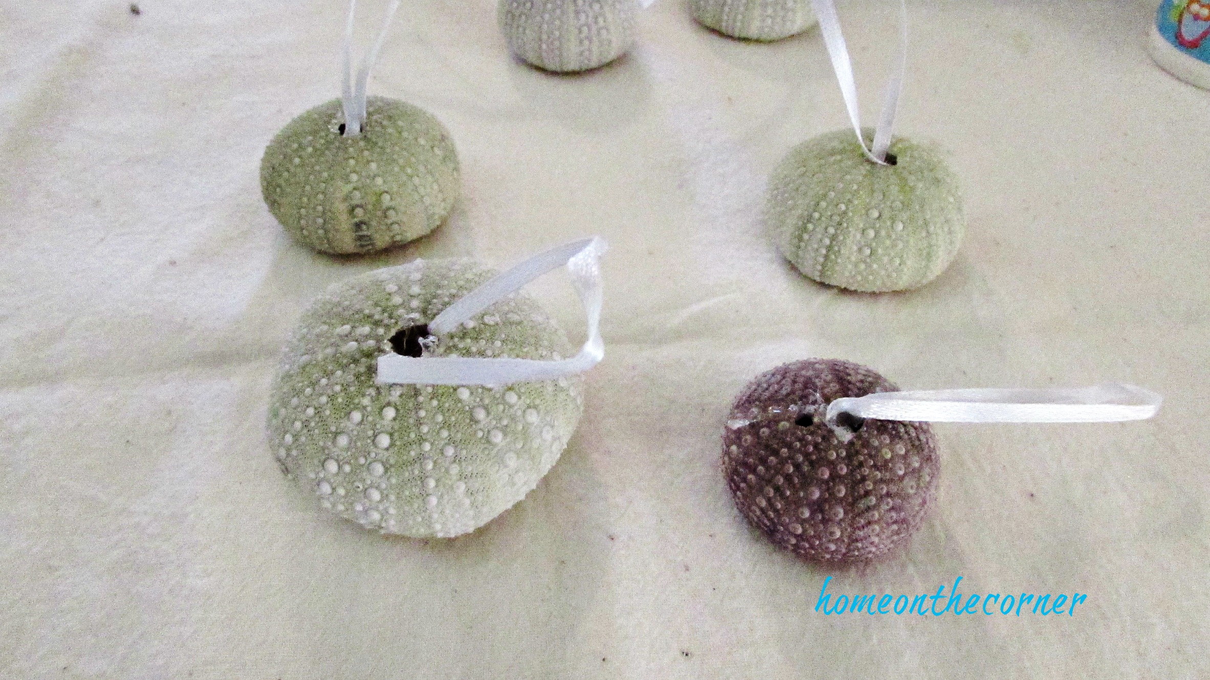 ornament exchange 2017 green and purple urchin