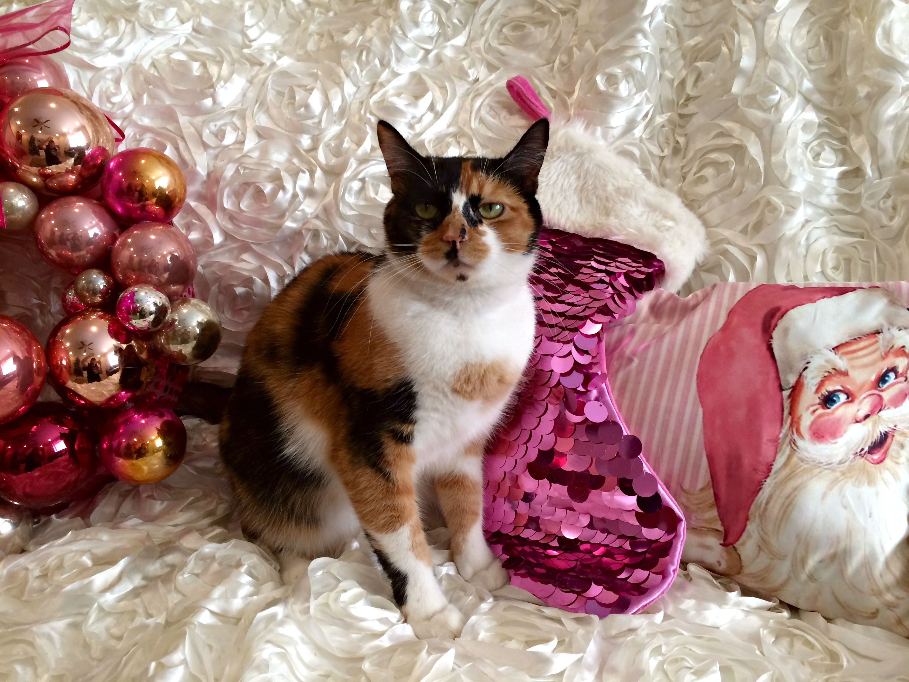 Amelia Pink Christmas