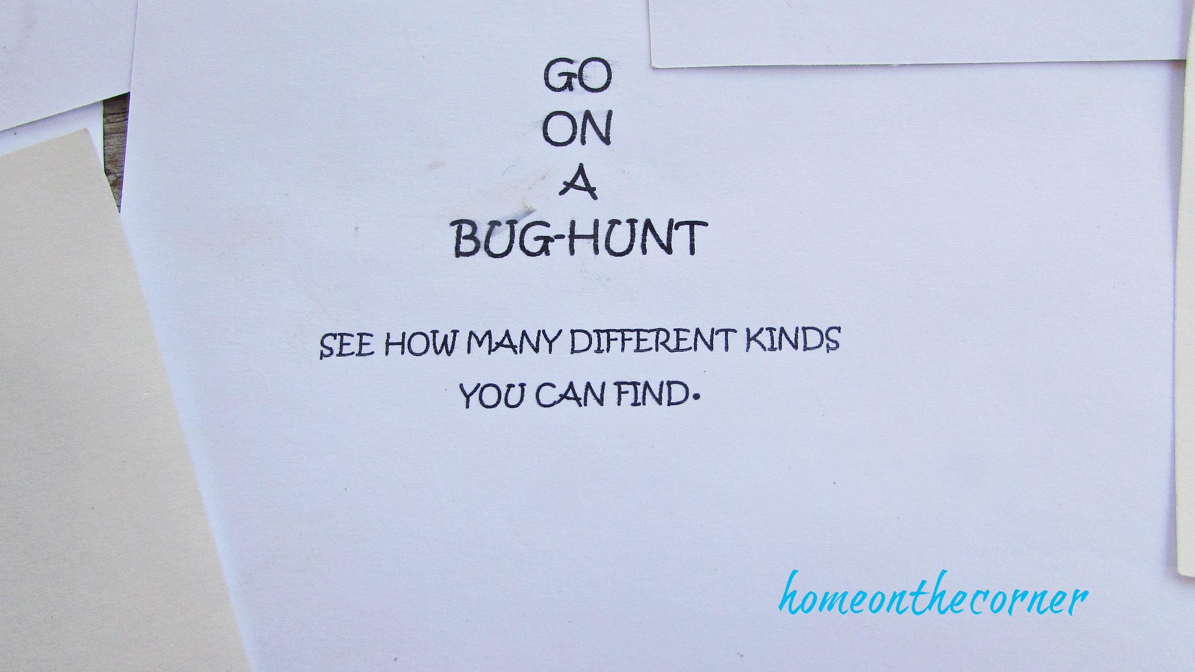 Summer Fun Ideas Index Cards