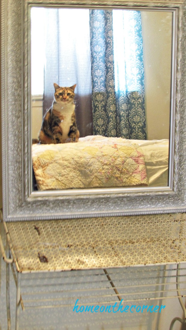 Guest Room Makeover Mirror Reflection