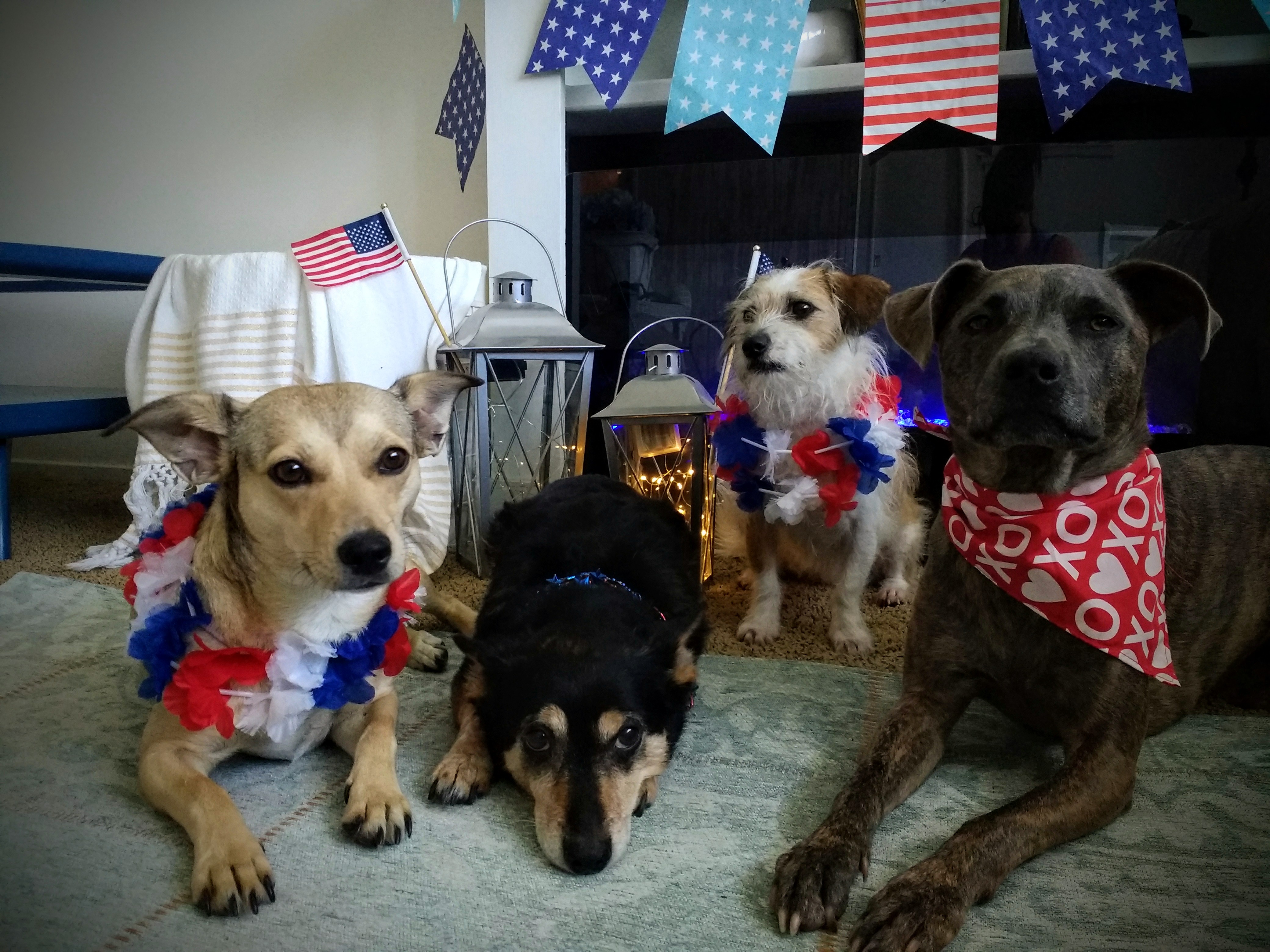 IMG_20180701_131513999