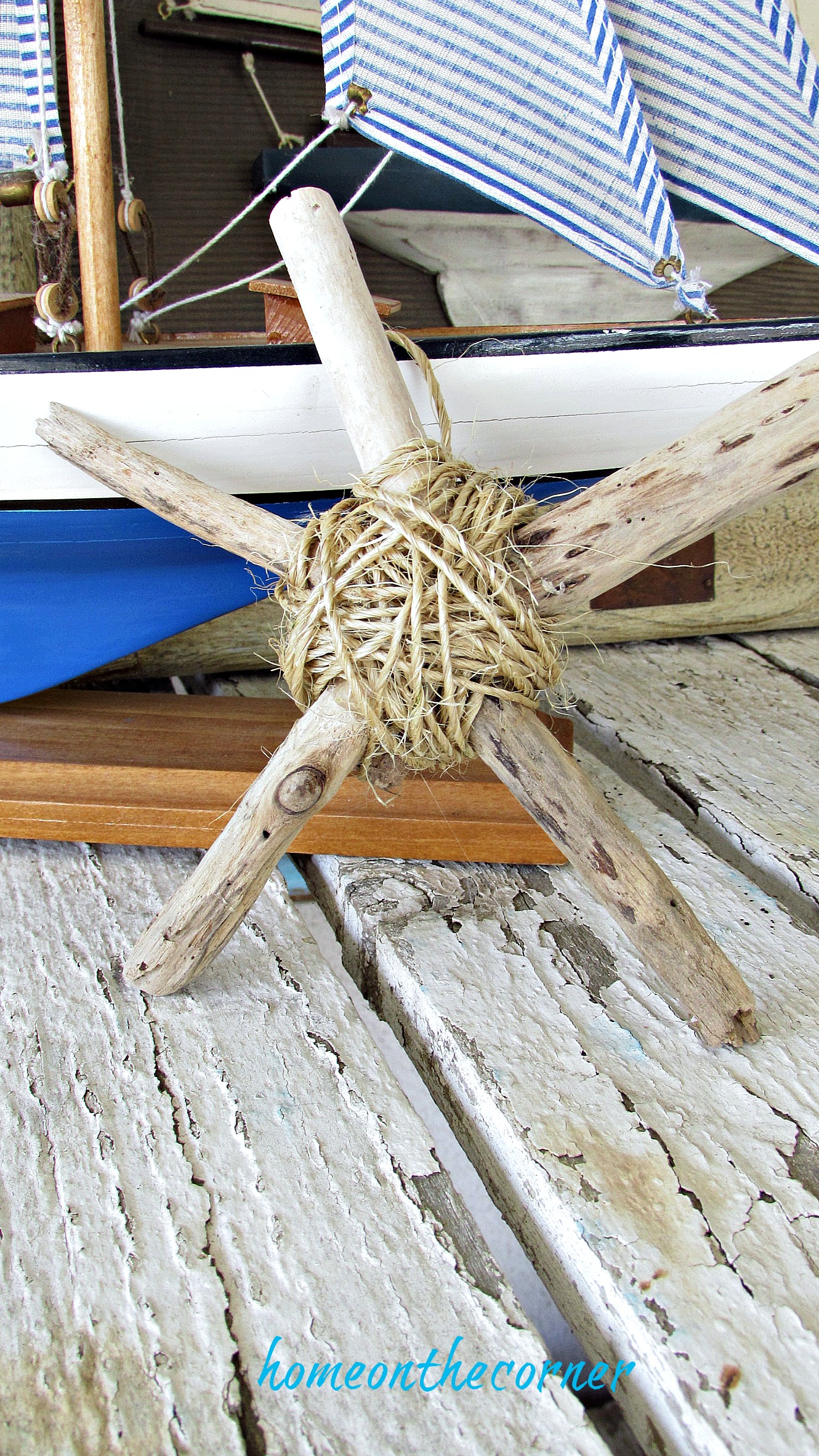 driftwood starfish small starfish