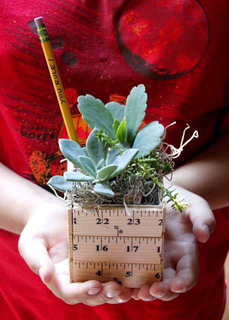 ruler planter