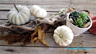 fall 2018 back patio coffee table pumpkins