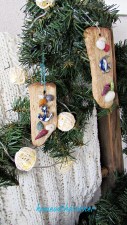 ornament exchange driftwood beach shells anchor