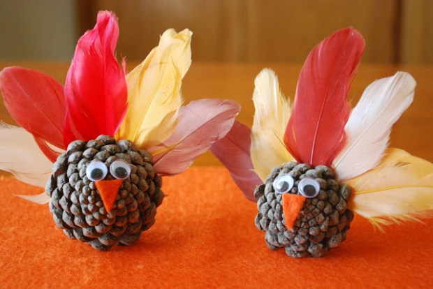 Pinecone Turkey