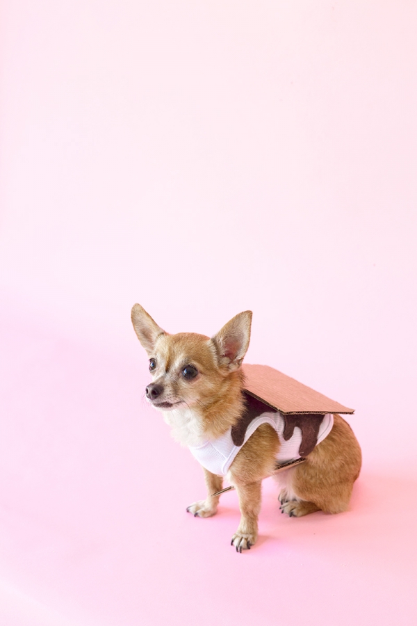 DIY Smores costume.jpg